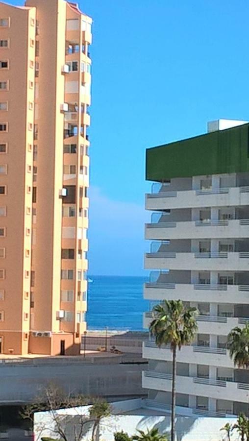 Coral Appartement